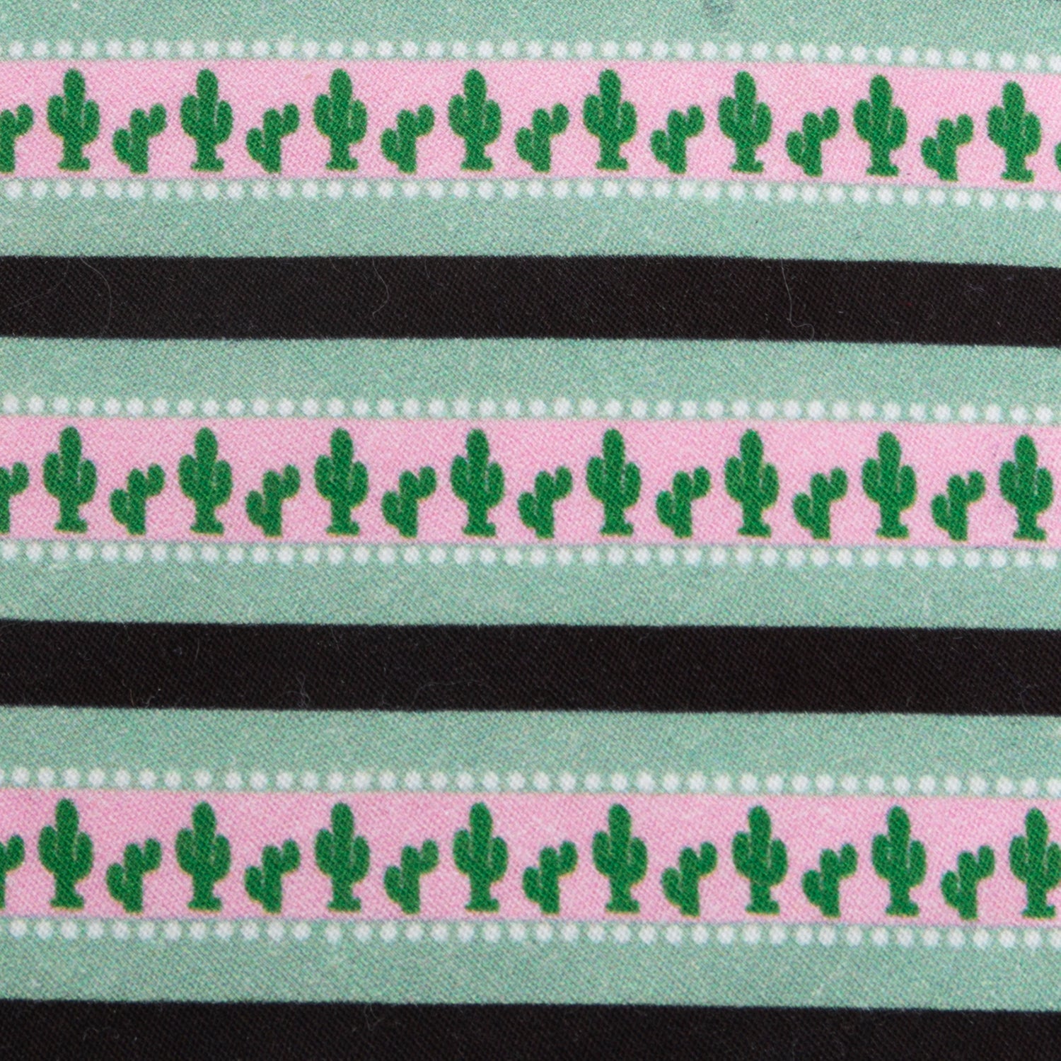 Texas Cactus Stripe Sage Men's Tie